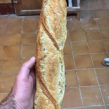 191119 Pan común y baguette first overview