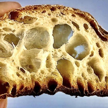 A Knead to Bake SOURDOUGH FOCCACIA second slice