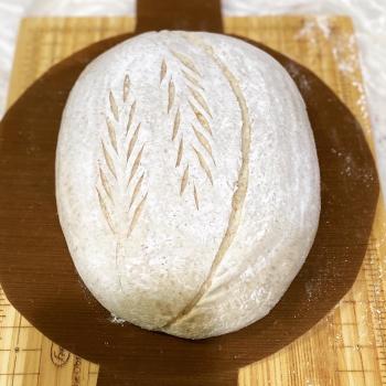 Abraham Basic Sourdough  second overview