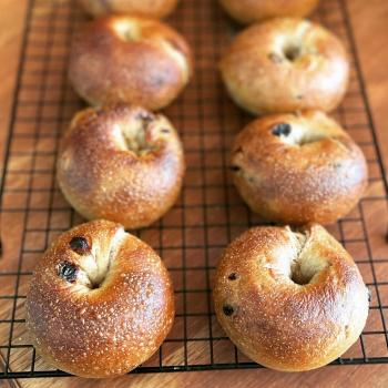 Abraham Sourdough bagels first overview