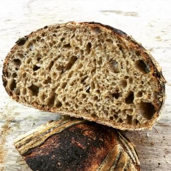 Ace Freshly milled Spelt Sourdough first overview