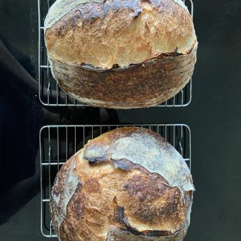 Adam Levain White Sourdough first overview
