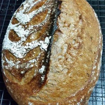 Ah Huat  Purple wheat + roasted maize first overview