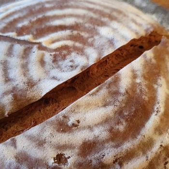 Aloy Double Chocolate loaf second overview