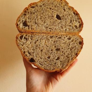 Aloy Lemon and Poppy seed loaf second overview
