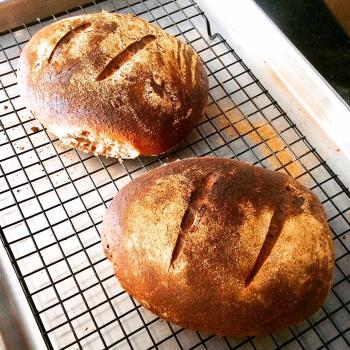 Apollonius Honey Wheat Bread first overview