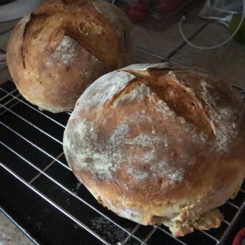 Aunt Jo’s  Dough Bread first overview