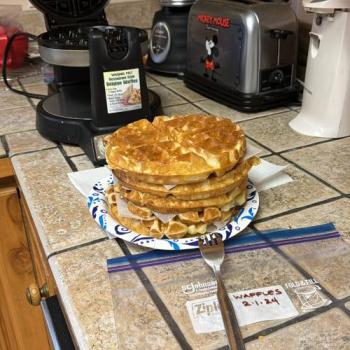 Aunt Jo’s  Dough waffles first overview
