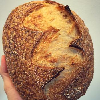 Autumn Panettone, durum wheat sourdough, spelt sourdough, durum wheat sourdough second slice