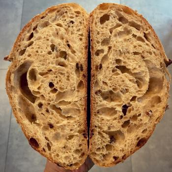 Autumn Soft bun, challah bun, panettone, malted grain sourdough second slice