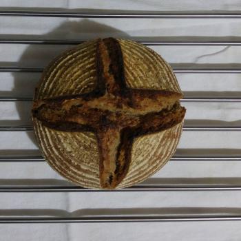 Baron Whole Wheat Bread first overview