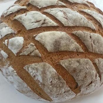 Basic Levain All about Flour second slice
