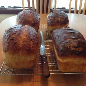 BH white every day loaves of bread, pancakes, babkas second overview