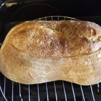 Bill Batard second overview