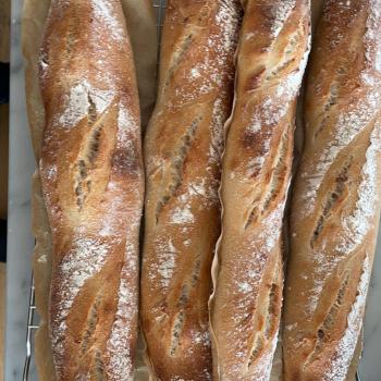 Blanca Flour Baguettes  first overview