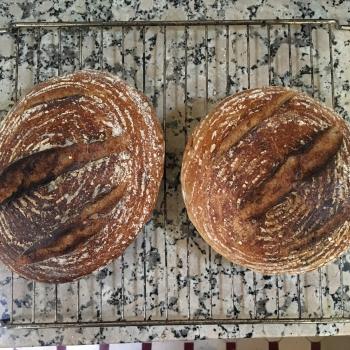 BOB MADE IN MOROCCO Sourdough Bread first overview