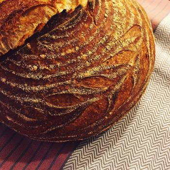 Bob Sourdough Boule first overview