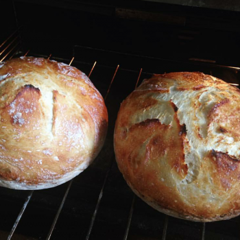 Bobo Sourdough farm loaf first slice