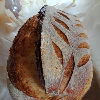 Bödvar Björned Loaves first overview