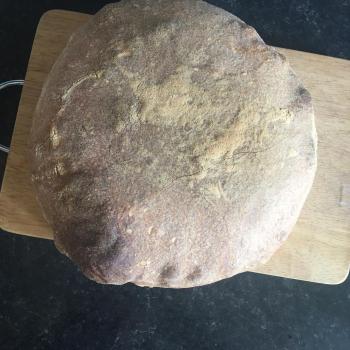 Bolla Sourdough loaf first overview