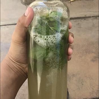 Brahma Basil Water first overview