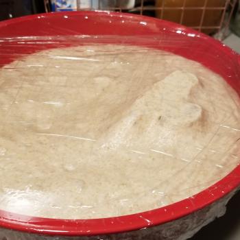Bruce Easy Sourdough Bread second overview