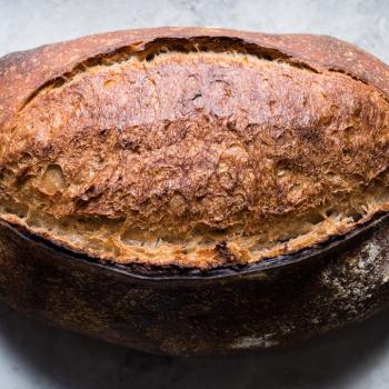 Brutus Spelt Sourdough first overview