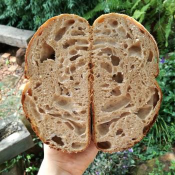 Bubbles Sourdough Bread  first slice