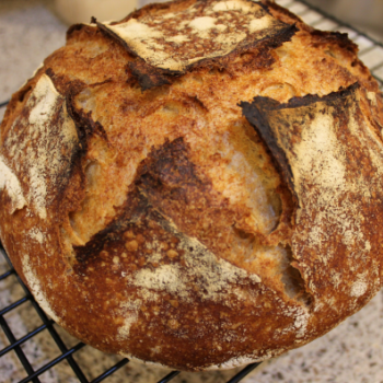 Bubbles Whole Wheat Cinnamon Raisin Swirl Bread first overview