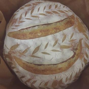 Bubi My bread first overview