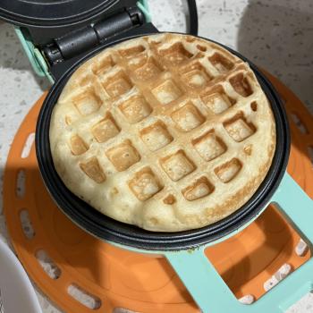 Bublee Sourdough Waffles second overview