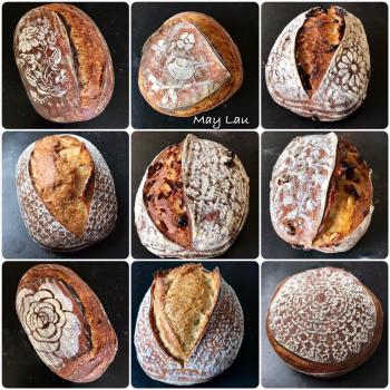 Buddy More sourdough pictures. first overview