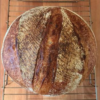 Budo#1 Pain de Campagne second overview