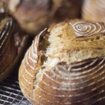 Camelot Natural levain breads second overview