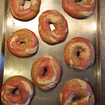 Canoe Creek Sourdough Bagels first overview