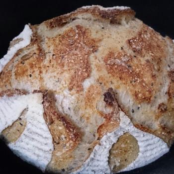 Champei  I made different kind of breads using my spelt starter. second overview