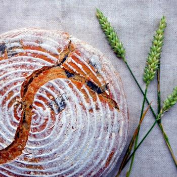 Charles Seaweed sourdough first overview