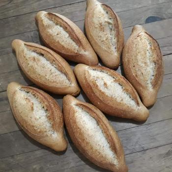 Conchita Whole wheat Bolillo Sourdough first slice