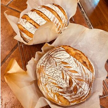 Dad & Jake 2019 Bread second overview