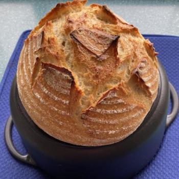 Dirkje just a test bread second overview