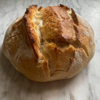 Donna Bread second overview