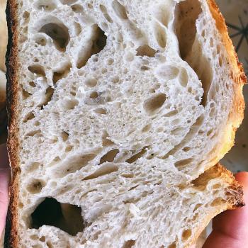 Doughst  Bread second overview