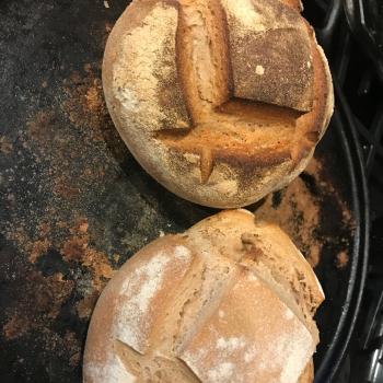 Doughy  first overview