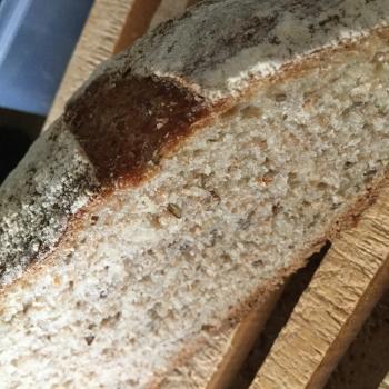 Egidio 50-50 white and whole flour first overview