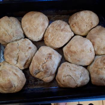 Elaine Sourdough biscuits and bread from an old Sunset Cookbook of Breads first overview