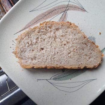 Elaine Sourdough biscuits and bread from an old Sunset Cookbook of Breads second slice