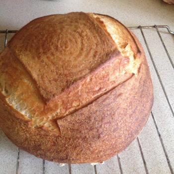 Elda Bread first overview