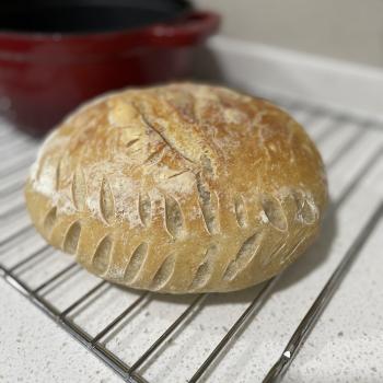 Eli Sourdough bread first overview
