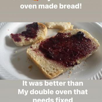 ElsieDart  first slice