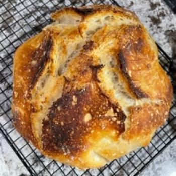 Fermentia recipe